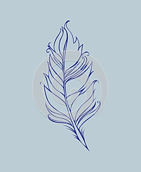 Feather isolated. Vector illustration. Lined drawing. Blue colors