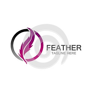 feather logo vector template line