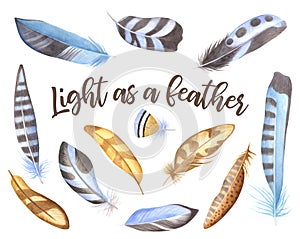 Feather.Multicolored feathers set isolated on white background.Bird watching is a decorative element.Boho style vintage