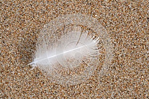 Feather over sand