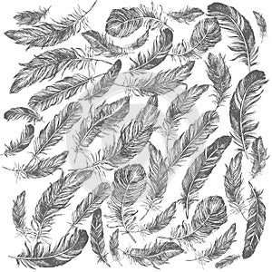 Feather Pattern hand drawn style