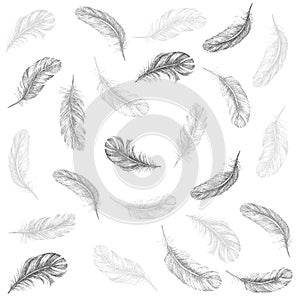 Feather Pattern hand drawn style. Hand drawn vintage design set.