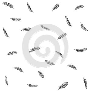 Feather Pattern hand drawn style. Hand drawn vintage vector design set.