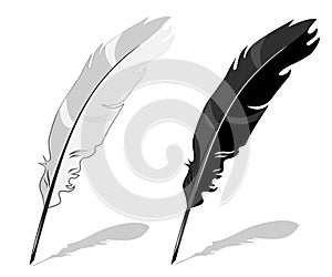 Feather pen, black and white