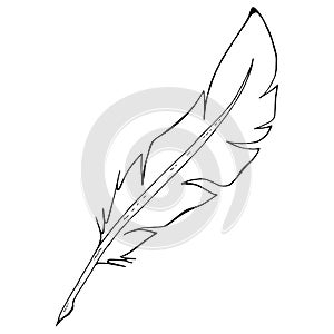 Feather pen icon. Vector illustration of a feather for calligraphy. Hand drawn feather pen logo