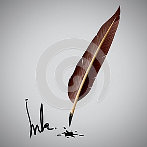 Feather pen ink Vector illustration