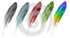 Feather pen set of abstract color