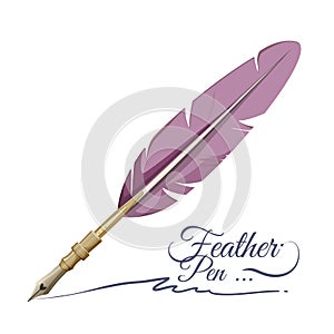 Feather pen writing implement made from feathers of bird photo