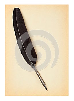 Feather quill on an old paper