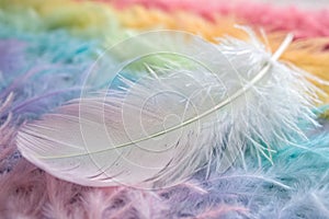 Feather rainbow patchwork with pastel colors