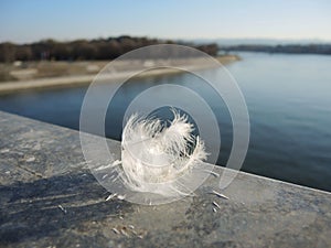 The feather remained on the fence after the bird flew away from the bridge