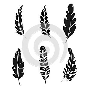 Feather set. Black silhouette feather vector illustration