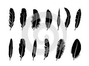 Feather set. Different birds feathers silhouette icons over wh