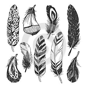 Feather set in Native American Indian style. photo