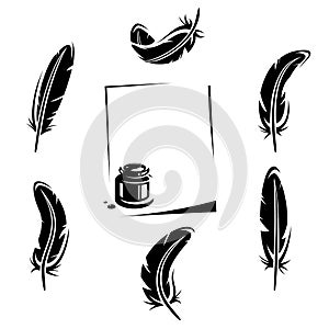 Feather set. Vector