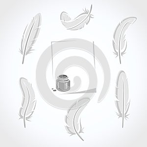 Feather set. Vector