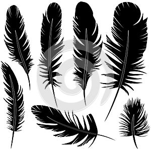 Feather set vector illustration sketch