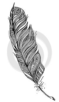 Feather, sketch, hans draw doodling graphic illustration, black and white