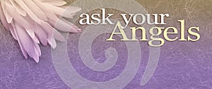 Feather theme Ask Your Angels Message banner background