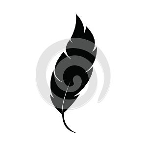 feather icon vector design template