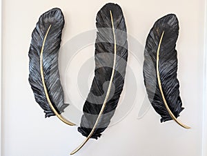 Feather wall decor hangings in a modern home