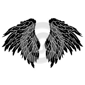 Feather Wings in the form of Angel or Dragon Illustration