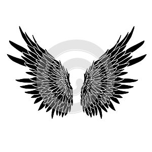 Feather Wings in the form of Angel or Dragon Illustration
