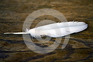 Feather and a wooden structure