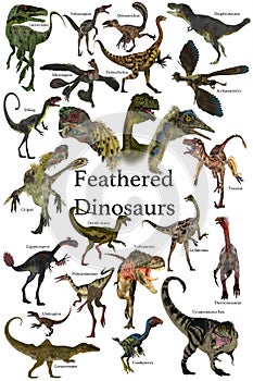 Feathered Dinosaurs