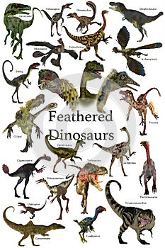 Feathered Dinosaurs photo