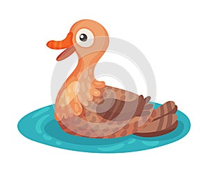 Feathered Duck as Farm Bird Swimming in Pond Vector Illustration