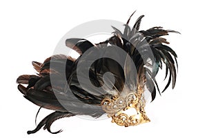 Feathered mask photo
