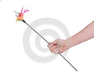 Feathered pole cat toy