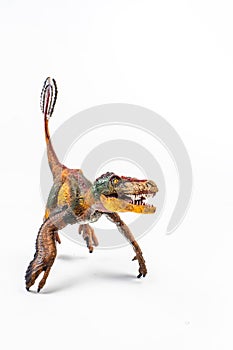 Feathered Velociraptor  , Dinosaur on white background
