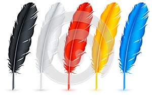 Feathers.