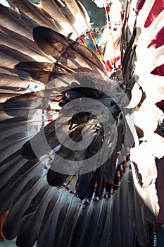 Feathers photo