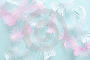 Feathers abstract background. Background for design with soft colorfull feathers pattern. Soft fluffy feathers on