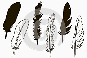 Feathers of birds. Set of silhouette and line drawn feather. Vector.