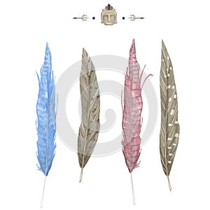 Feathers Blue feather, Pink feather digital feather, clip art, drawng, illustration on white background photo