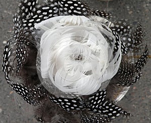 Feathers flower