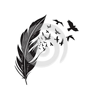 Feathers with free flying birds vector