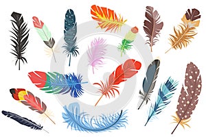Feathers isolated elements set. Bundle of different types