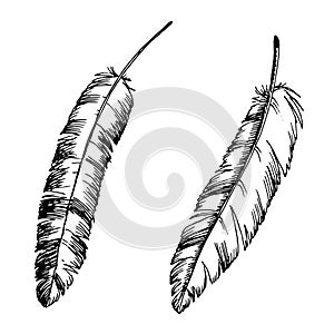 Feathers painted by hand. Sketch pens.