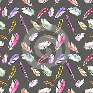 Feathers pattern for wallpaper design. Watercolor seamless background.