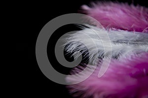 Feathers pink and white