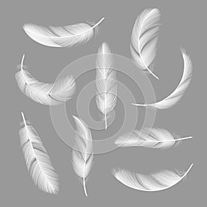 Feathers realistic. Flying furry weightless white swan objects vector isolated on dark background