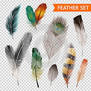 Feathers Realistic Set