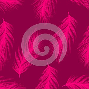 Feathers seamless pattern. A chic pattern of feathers on a magenta background