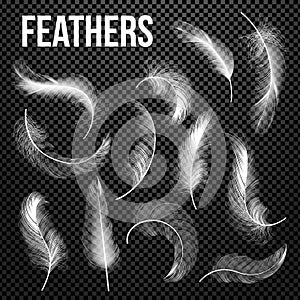 Feathers Set Vector. Different Falling White Fluffy Twirled Feathers. Feather Bird, Soft White Plume Design. Insomnia