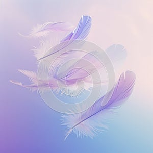 Feathers in soft pastel shades gently floating down photo